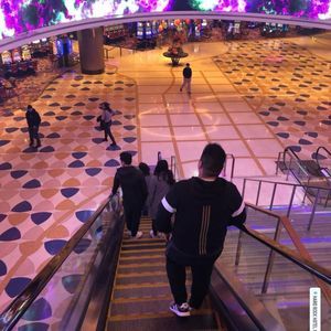 Meet your Posher, Joe